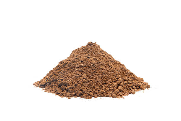Top 6 Cocoa Powder Suppliers in Philippines in July 2025