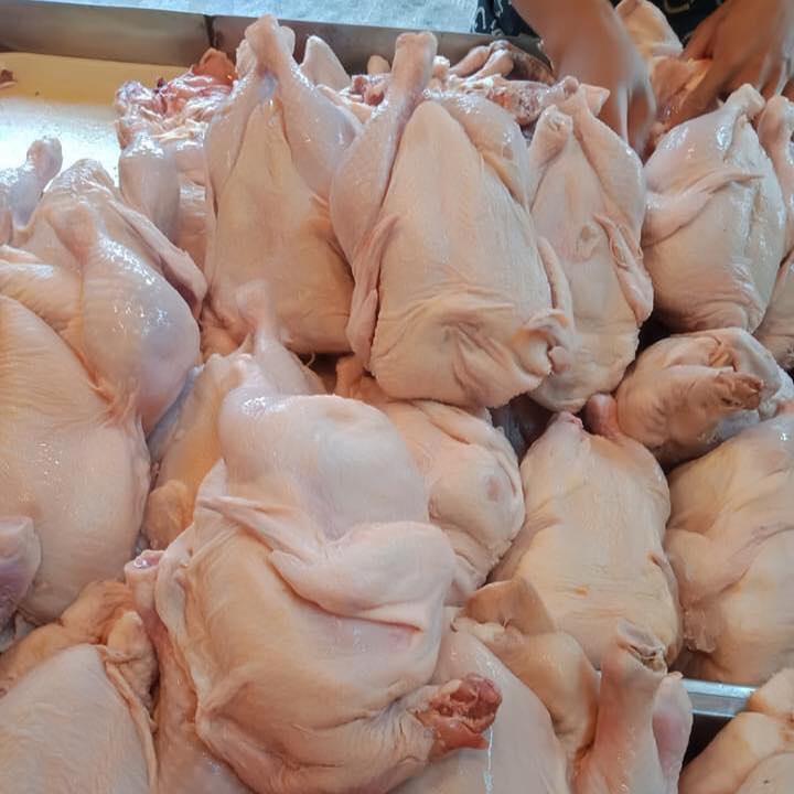 FROZEN CHICKEN