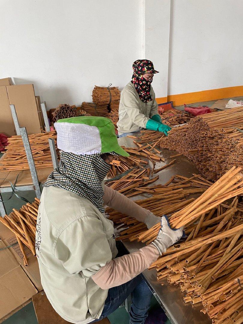 Stick cassia 15-30cm, Moisture 13.5% max, Admixture 0,5% max, Packing in carton box 10kg, roll rate: 85-90%