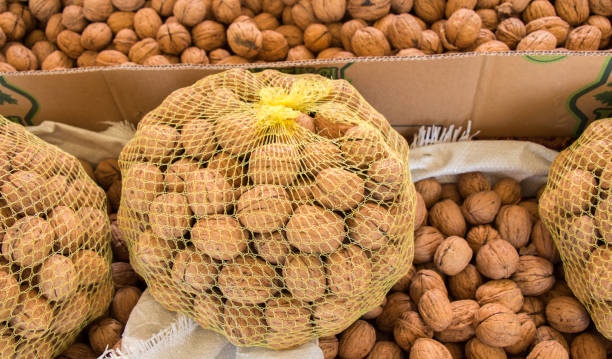 Top 8 Nut Suppliers in United Kingdom in August 2025