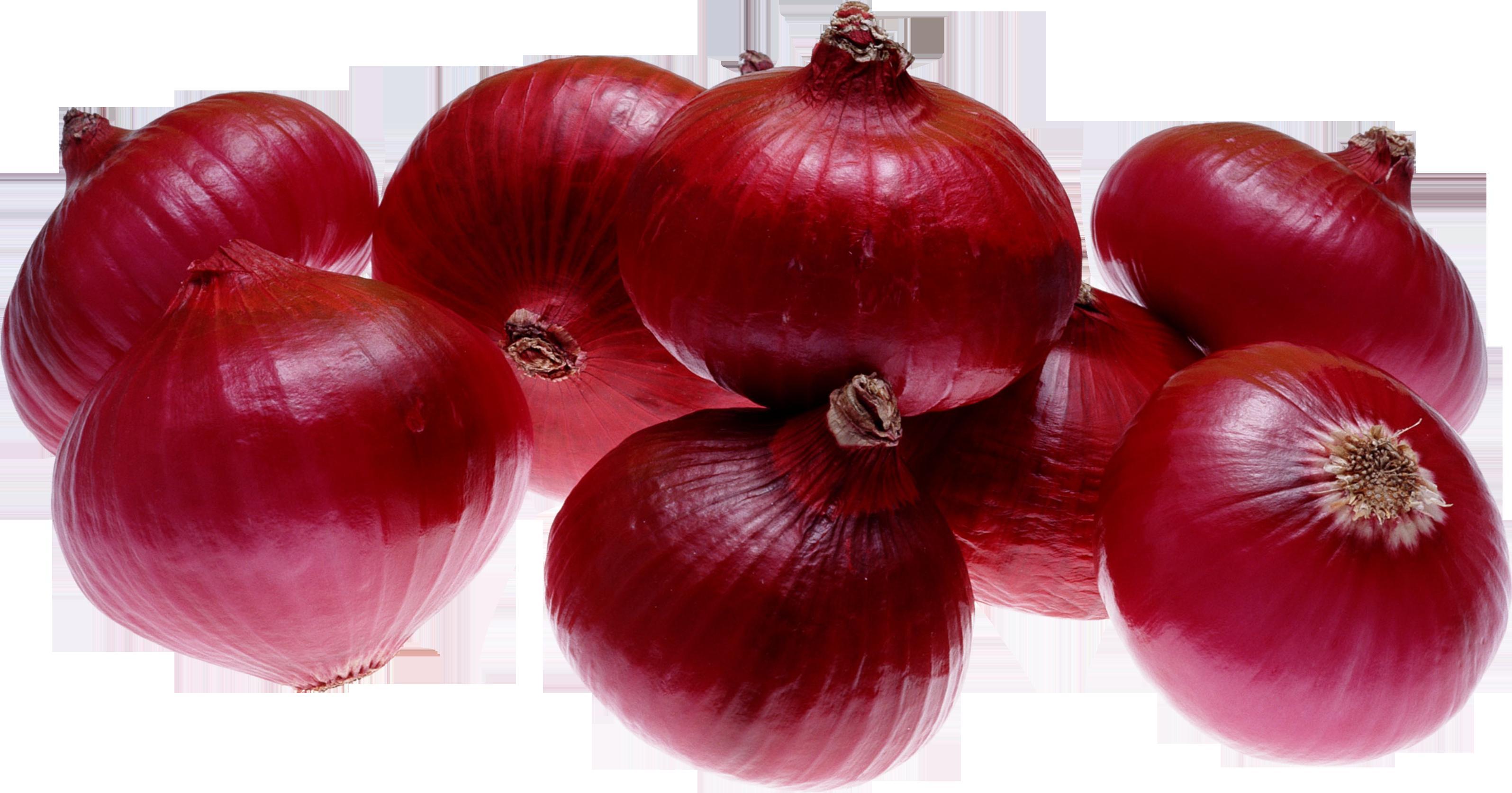 Fresh Onion