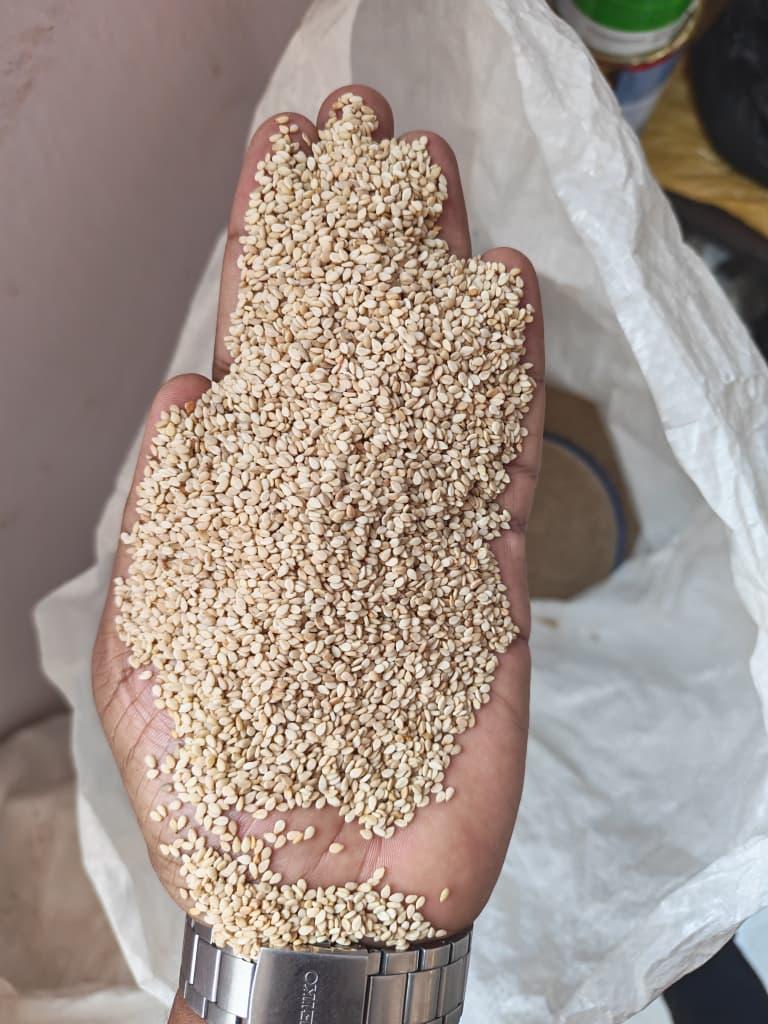 White Sesame Food Grade