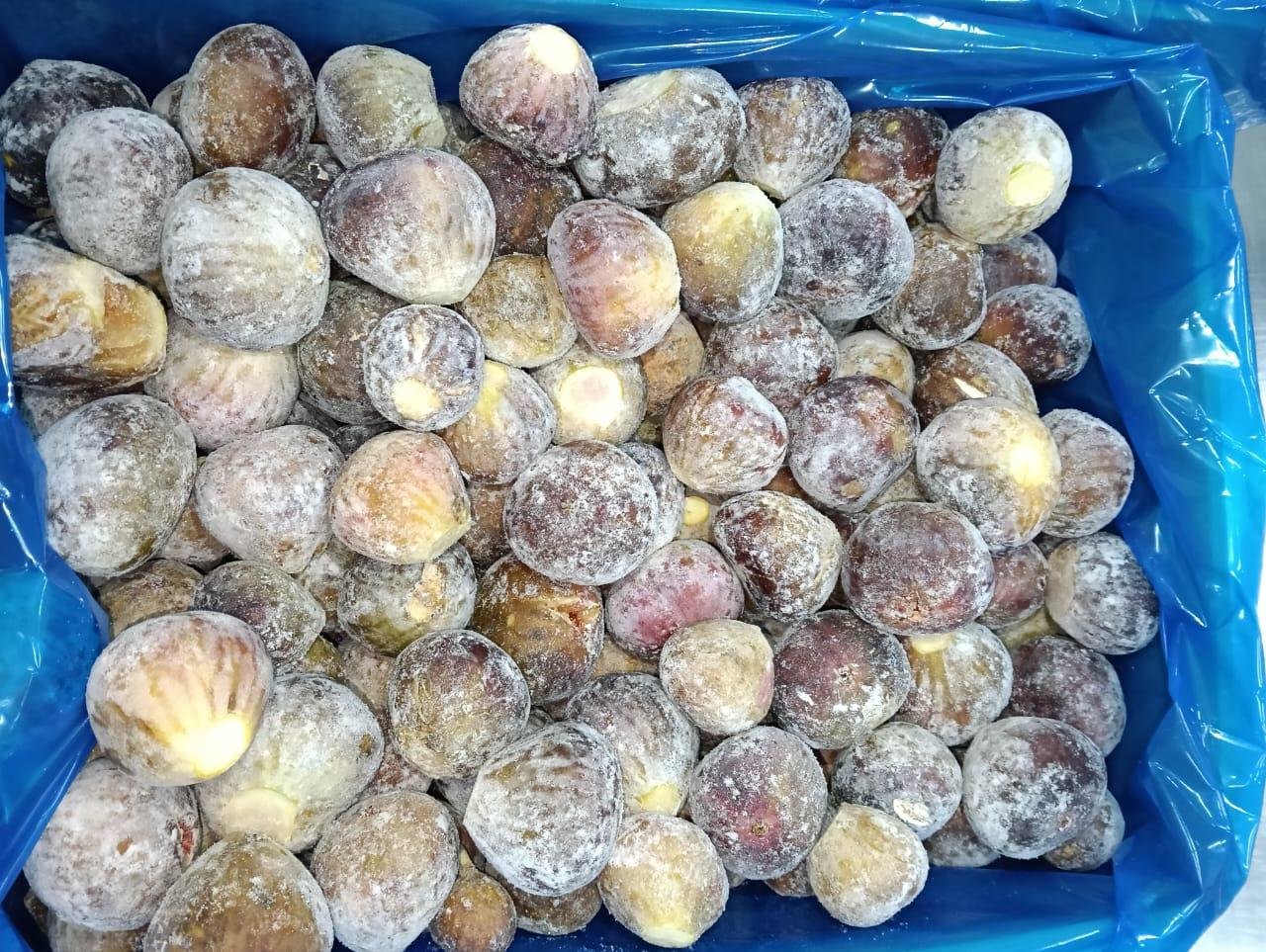 Frozen Figs Elbardy