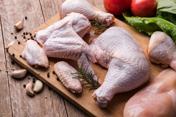 Top 9 Chicken Suppliers in Belgium in Year 2025: Urgent Market Update Every Buyer Must Know