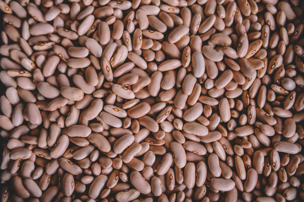 A Comprehensive Guide to Sourcing High-Quality Beans: Top 9 Beans Suppliers in Singapore in Year 2025