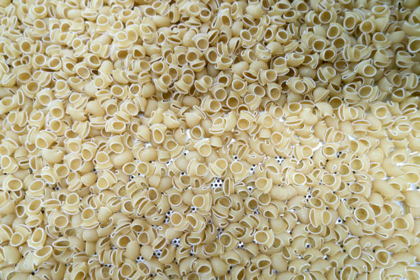 Your Expert Guide to Procuring Top-Tier Pasta: Top 10 Pasta Suppliers in Philippines in July 2025