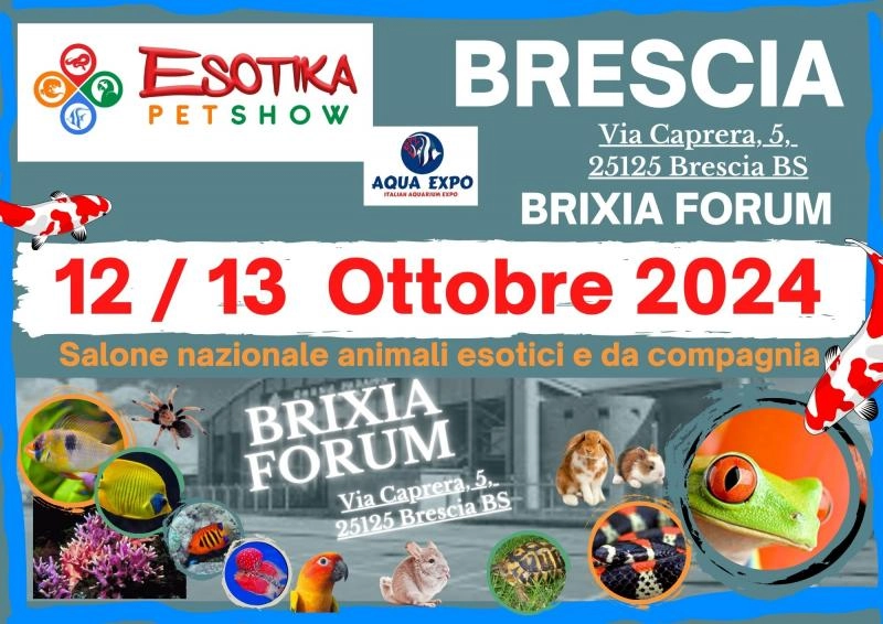 Discover ESOTIKA PET SHOW - BRESCIA: B2B Event Guide