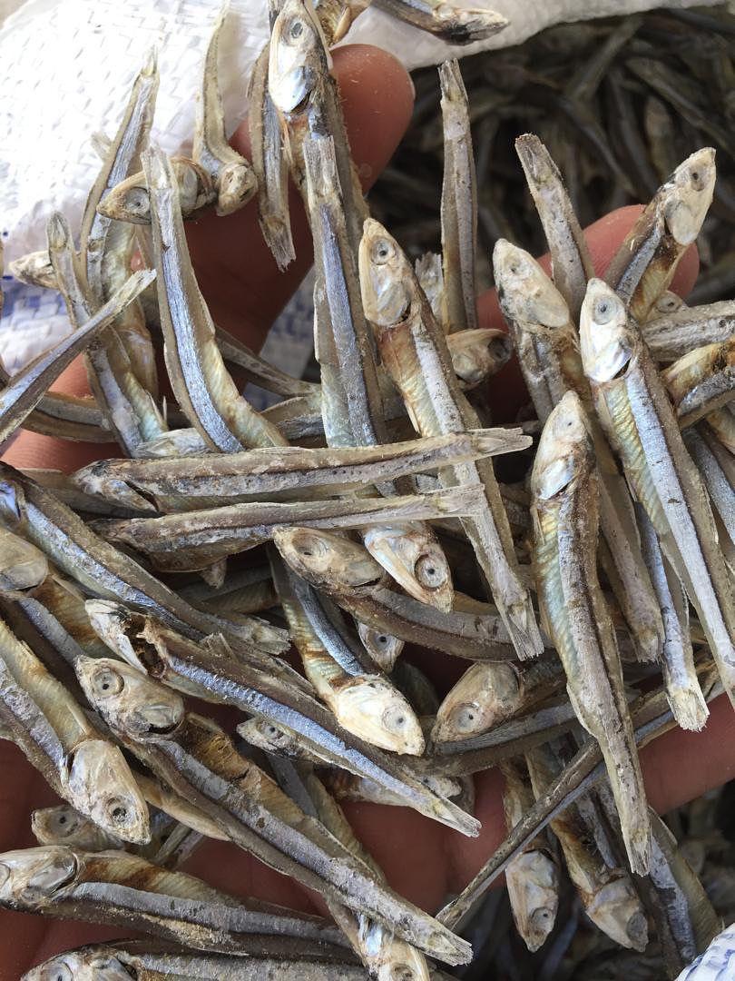 Worldwide Supply of Anchovies