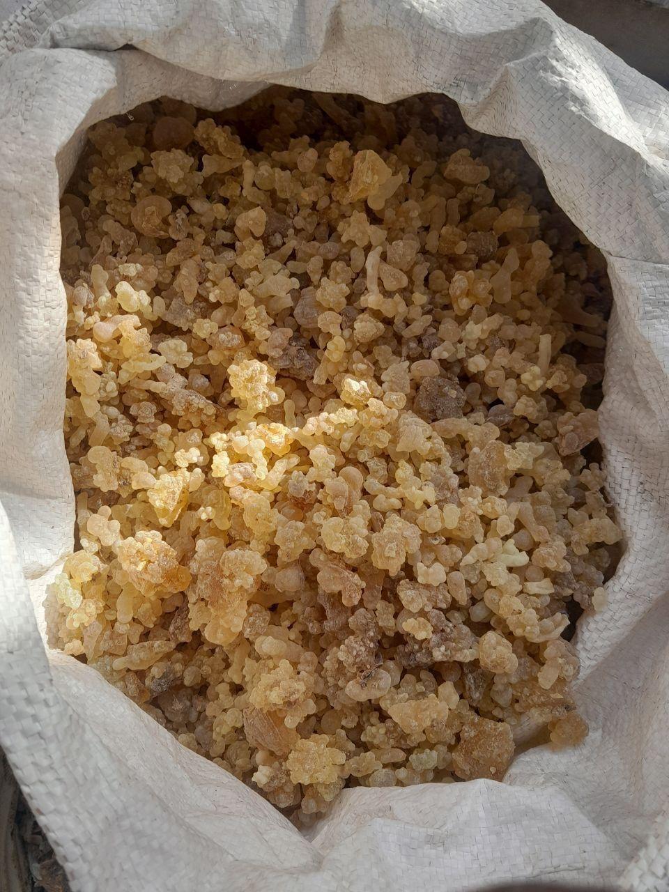 Frankincense