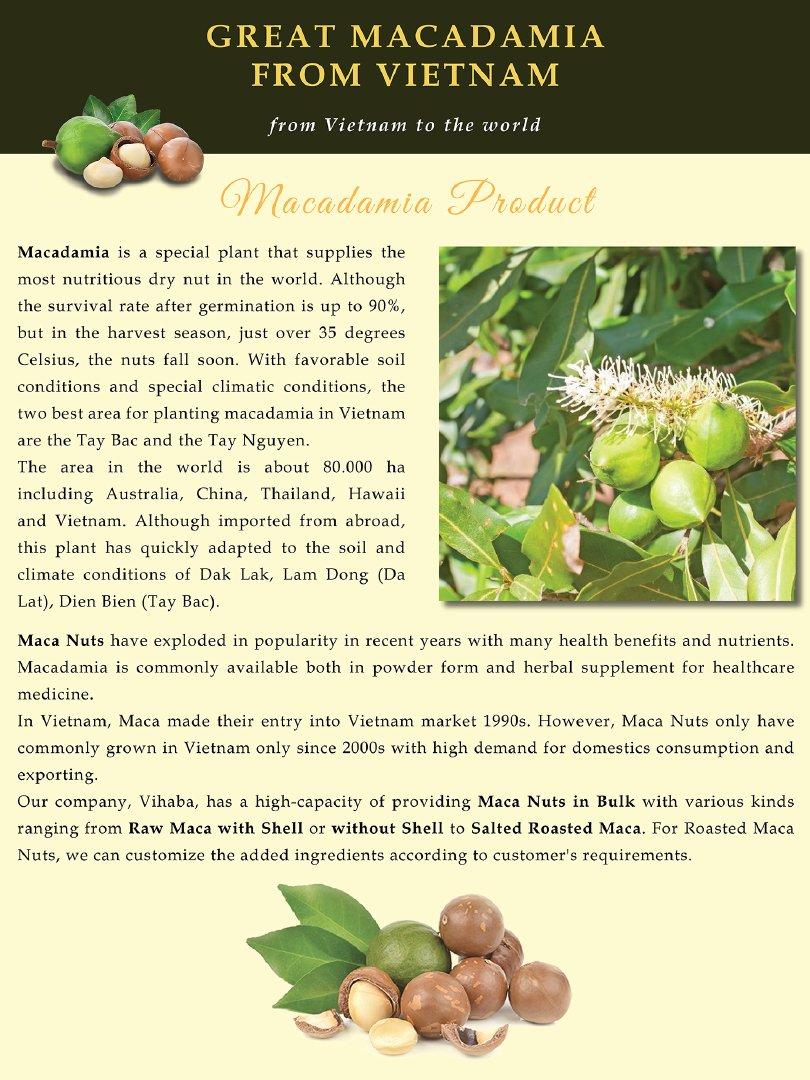 Wholesale Macadamia nut Organic Macca nuts Nut & Kernel Snacks Macadamia Raw