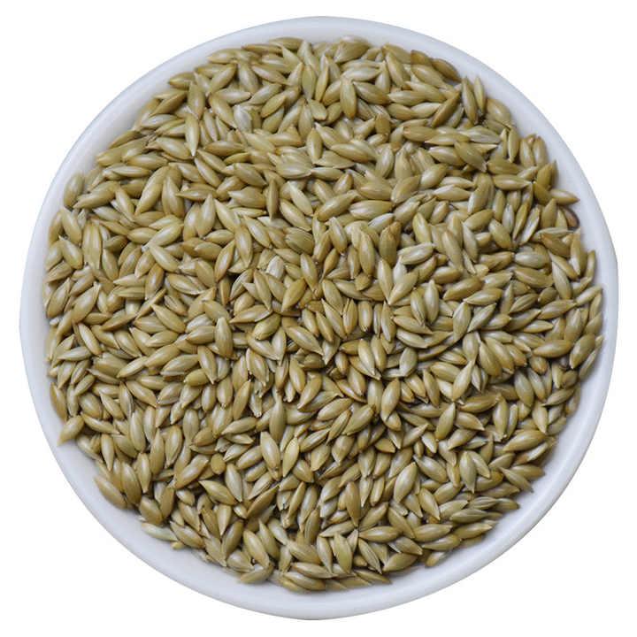 Refined Premium Canary Seed Wholesale for Bird Food – Carefully Selected, Nutrient-Dense, Dust-Free Canary Seeds for Cage Birds, Wild Birds, Feed Manufacturers, Bulk Buyers, International Export, Flexible Packaging, and Fast Worldwide Delivery Services