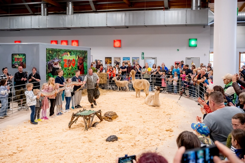 TIERWELT Revealed: B2B Opportunity - 2