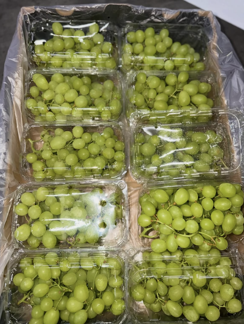 Autumn Crisp Premium Australian Green Grapes OEM Packaging Export Quality, Premium Table Grapes On Sale – product thumbnail, market insight supplier card
