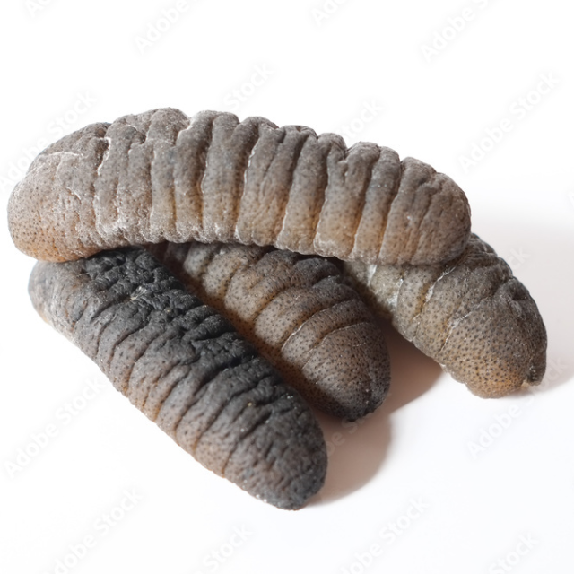 Dried Sea Cucumber