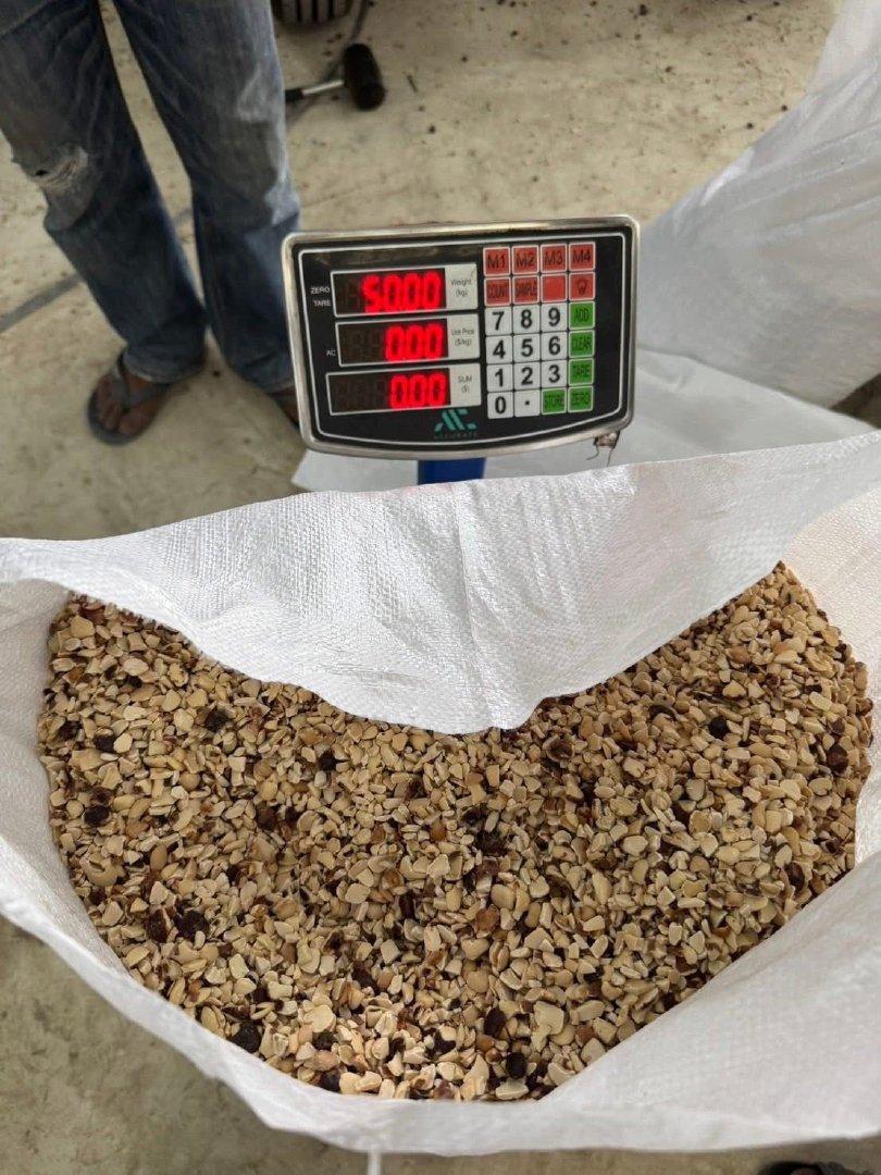 Tamarind Seed