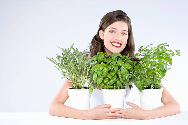 Top 3 Herbs Suppliers in China in Quarter 3 of 2025: Navigating a Rapidly Evolving Market