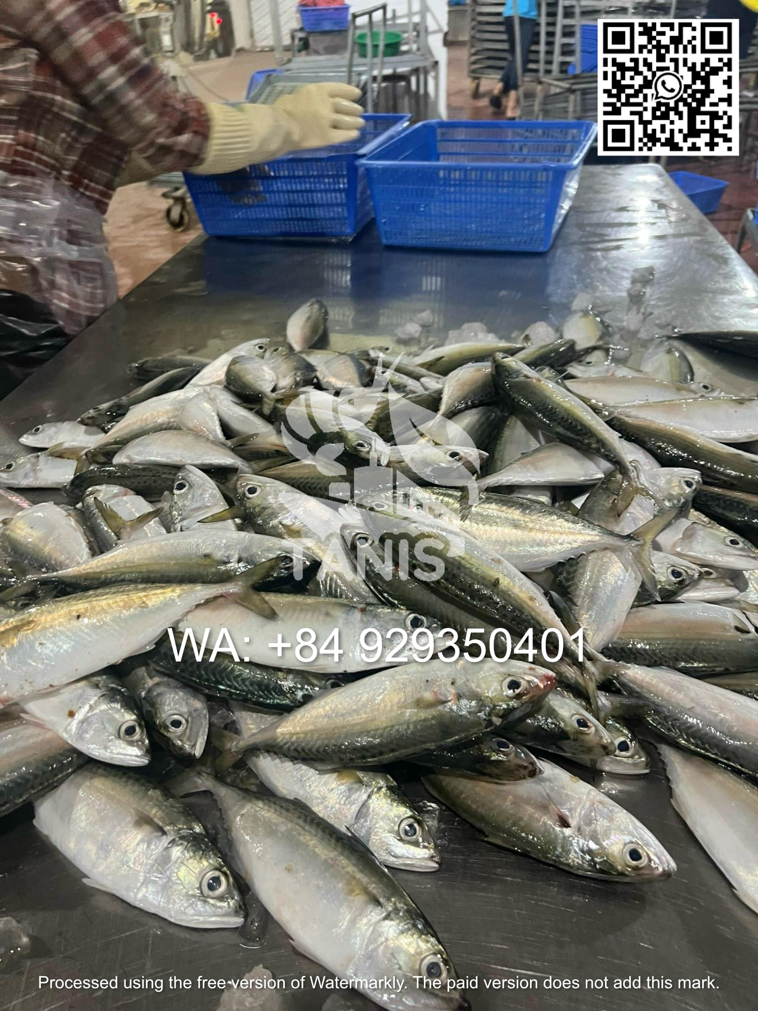 45612ae1e05246f7b35fa80f928abb0a