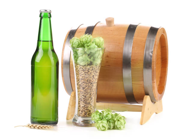 Top 9 Beer Suppliers in Italy in Quarter 3 of 2025: A Data-Driven Export Analysis