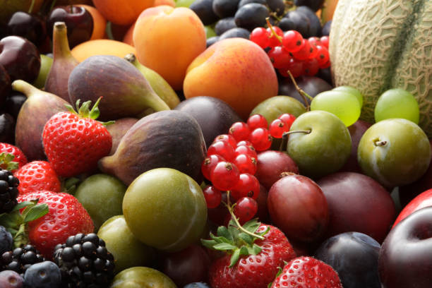 Top 10 Fruit Suppliers in Pakistan in Year 2025: Urgent Market Update You Can’t Miss