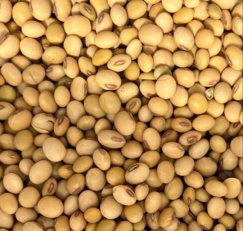Get to Know the Top 4 Soybean Suppliers in Brazil - 3