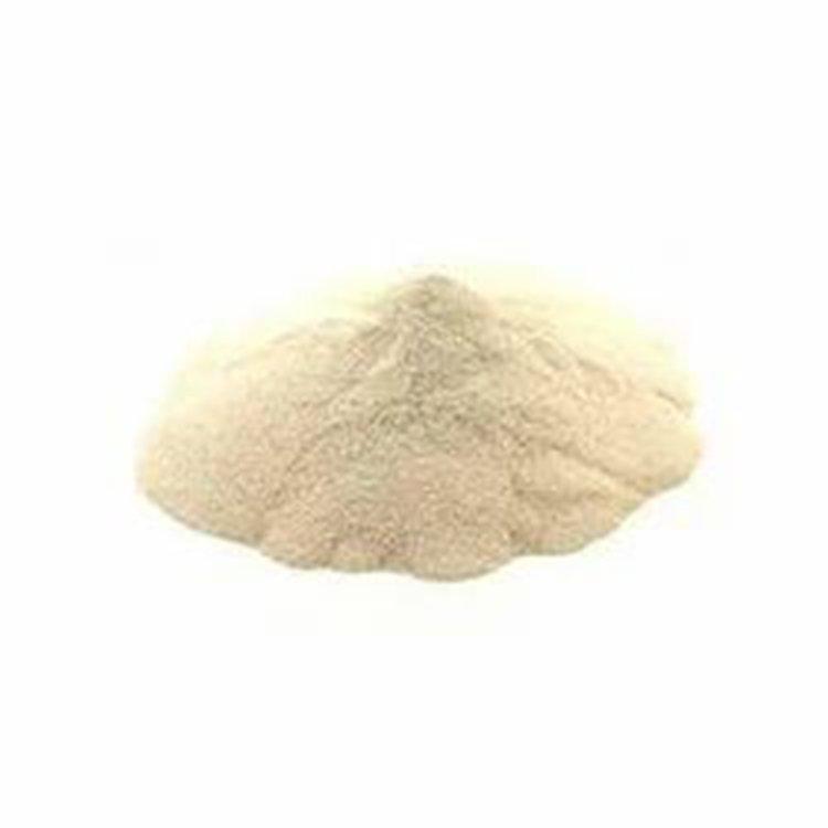 Bulk supply whey protein wholesale cheap price muscle gain sports supplement