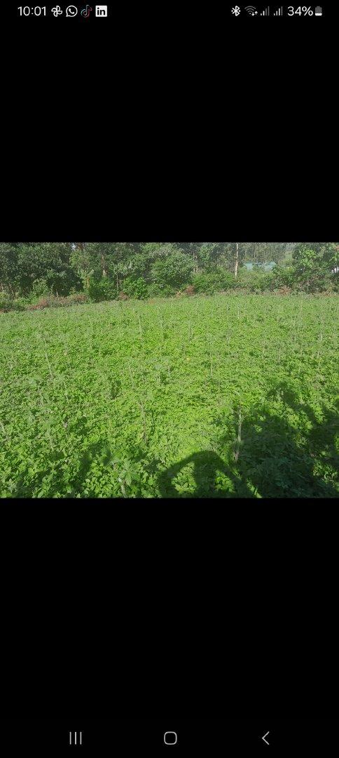 Agriculture, Food & Beverage