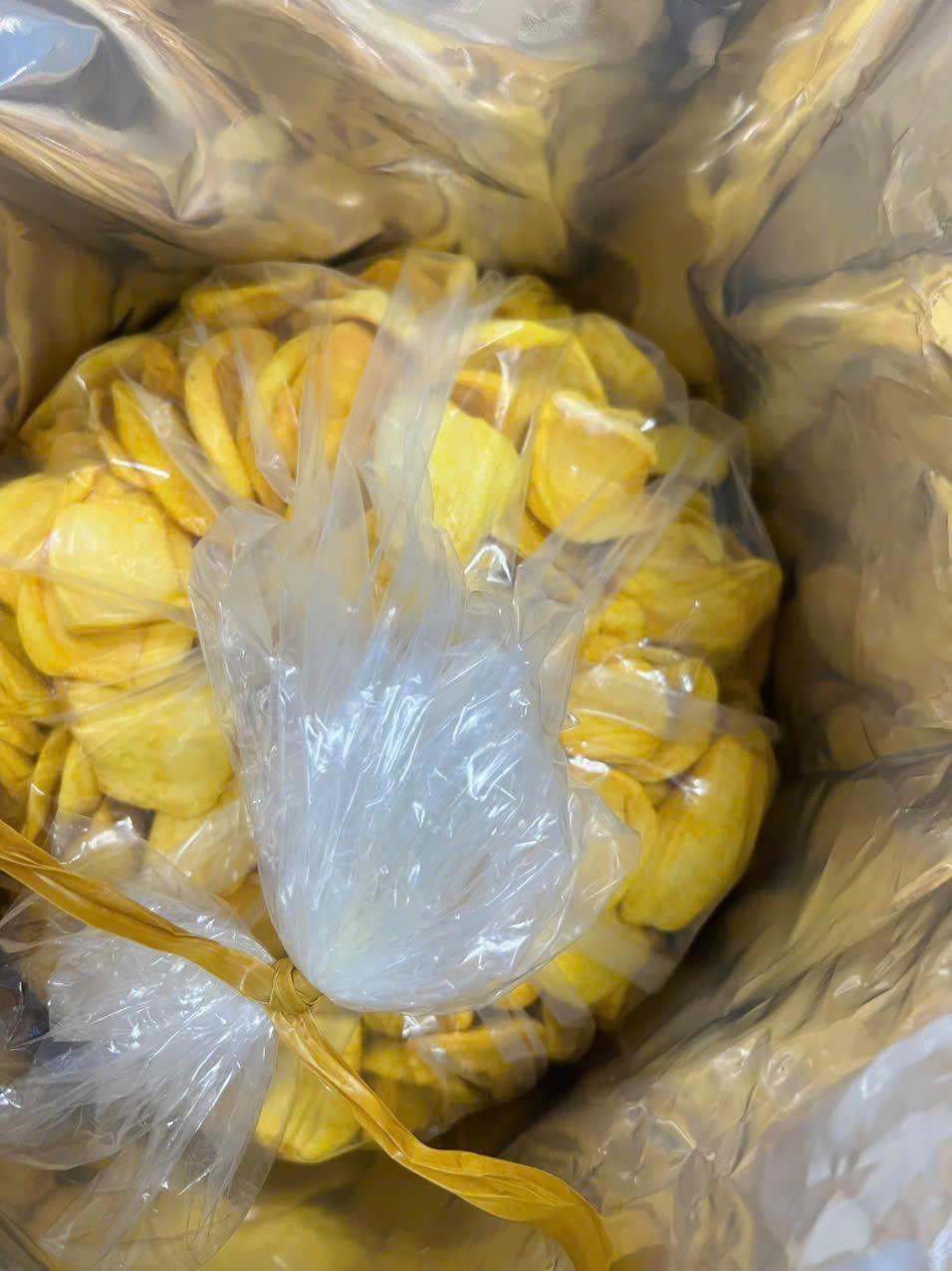 High Quality Jackfruit Chips