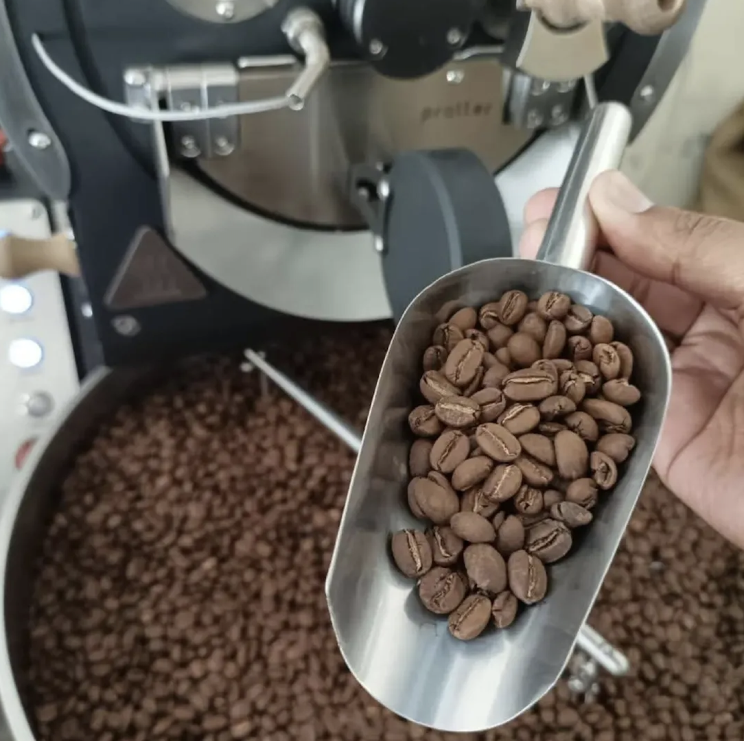 Premium Medium Roast Arabica Columbia Coffee Beans Rich Aroma & Smooth Taste On Sale