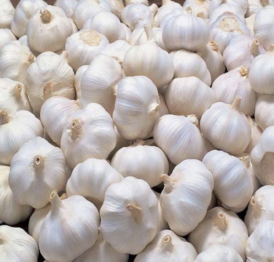 White Garlic