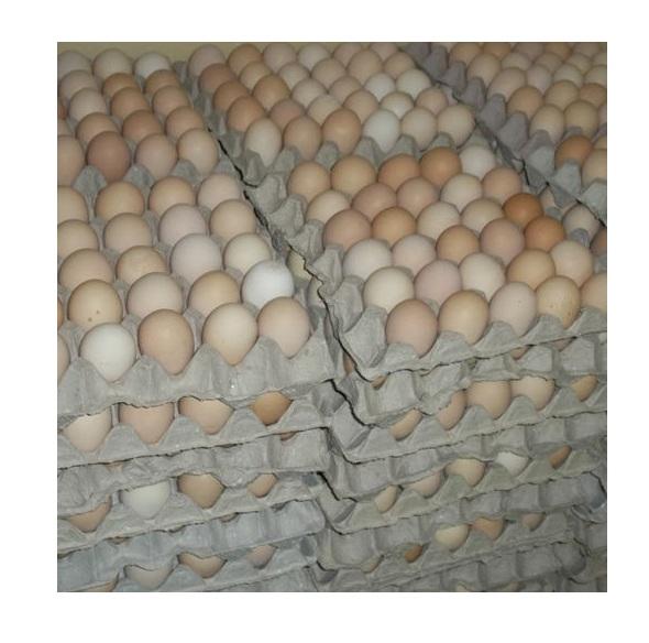 Fresh Brown Table Eggs Chicken Eggs / Fresh Chicken Table Eggs Brown and White