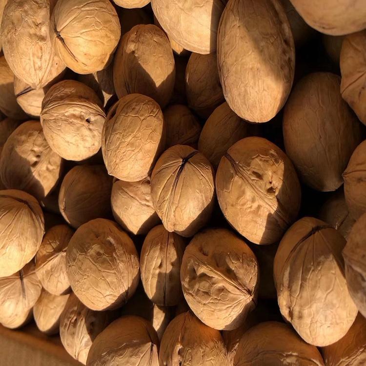 walnuts,Betel Nuts,Cashew Nuts,Almond Color Light Type Walnut Style Dried Ingredients 0% Content Walnuts Taste