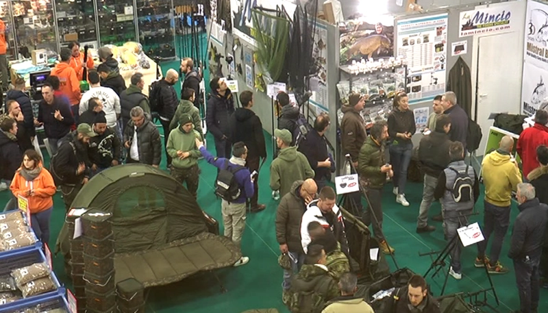 Inside Carpitaly Gonzaga: B2B Key Insights - 2