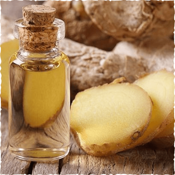 Ginger Essential Oil by Vinasamex
