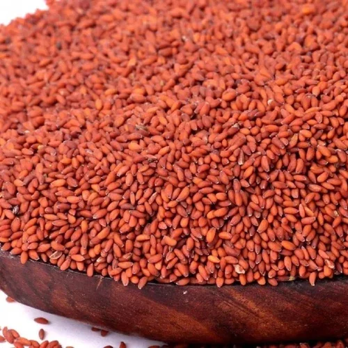 Garden Cress Seeds Photo 3