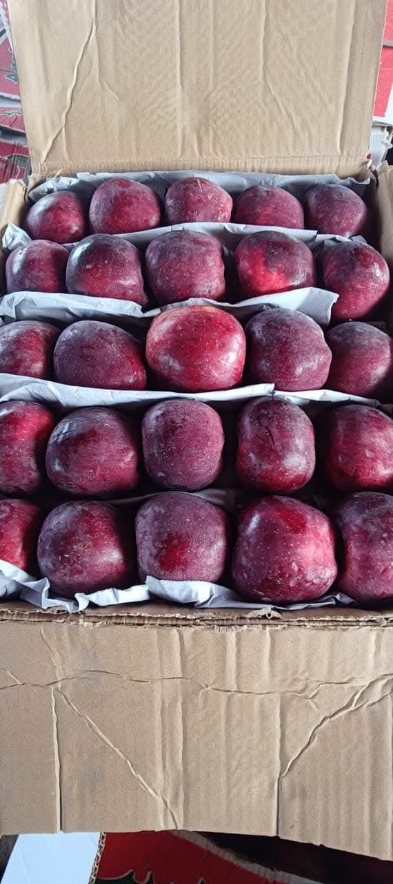 Top 3 Verified Fresh Vegetables suppliers in Pakistan for Global Buyers