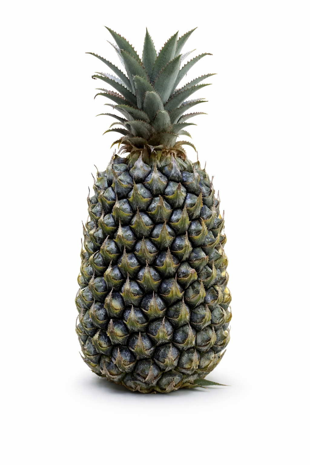 Fresh Simplex Pineapple