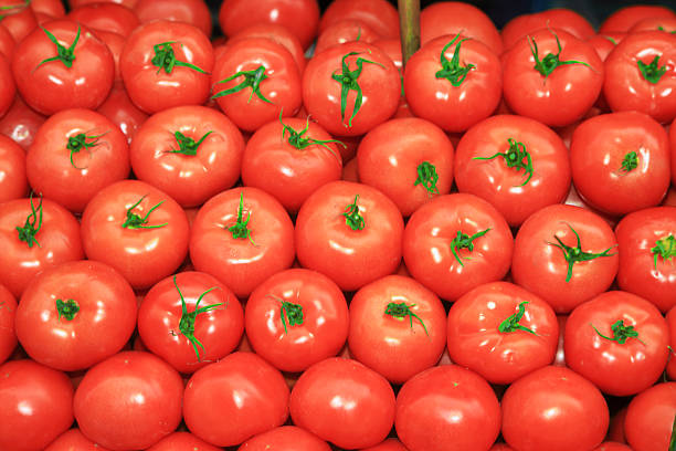 Top 4 Tomato Suppliers in Portugal in Year 2025
