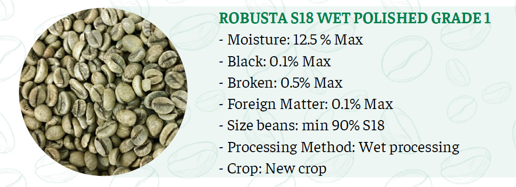 Vietnam Robusta Green Beans