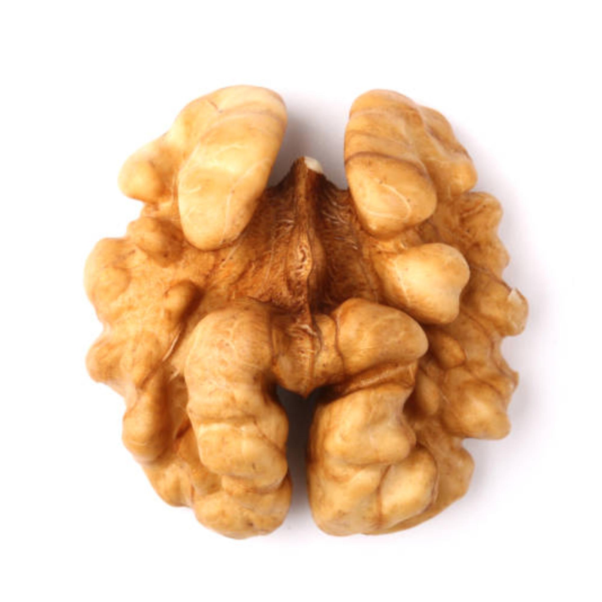 Walnut Best Price Common Walnut Nuts Top Class Walnut Kernels Dried Style Raw Waln AT Best Supplier Good Packaging Food