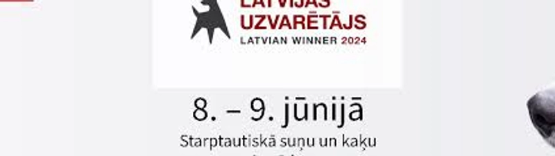 Why International Dog and Cat Show Matters for B2B