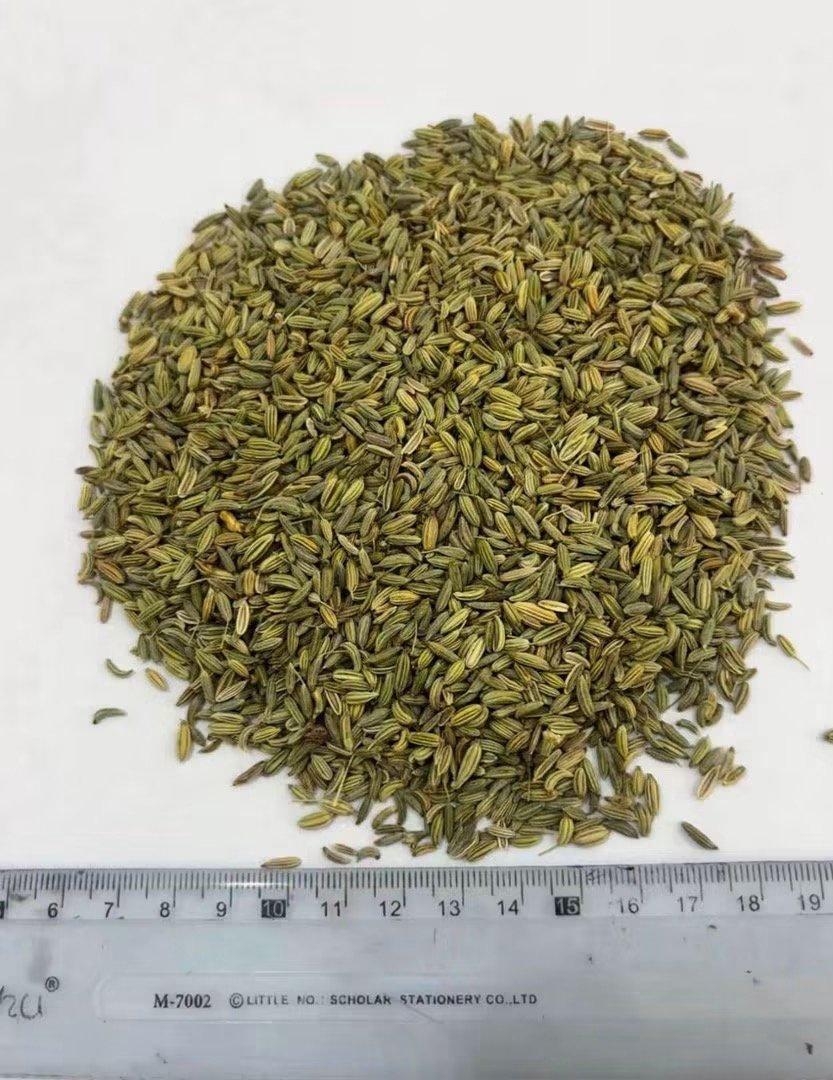 Fennel Organic No