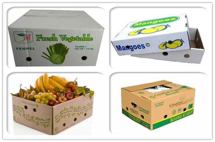 Customized Waterproof Corrugated Cardboard Boxes for Fresh Fruits and Fresh Vegetables