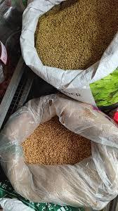 Coriander Seeds Image 4