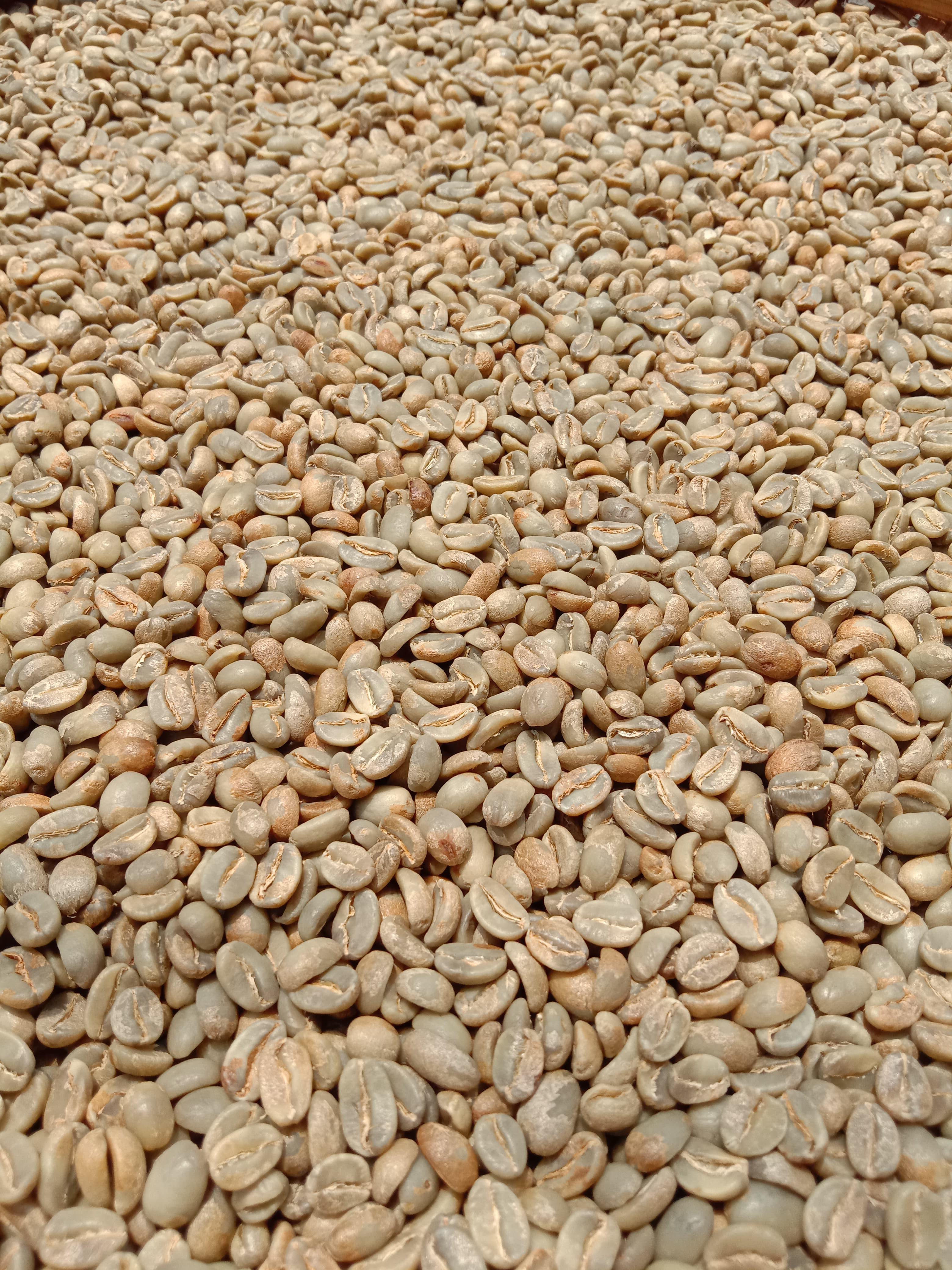 Roasted Coffee Beans and Coffee Beans