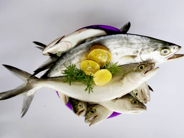 A Comprehensive Guide to Sourcing High-Quality Fish: Top 10 Fish Suppliers in Turkey in 2025