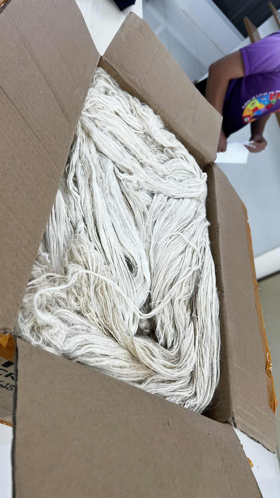 pineapple leaf fiber (PALF)