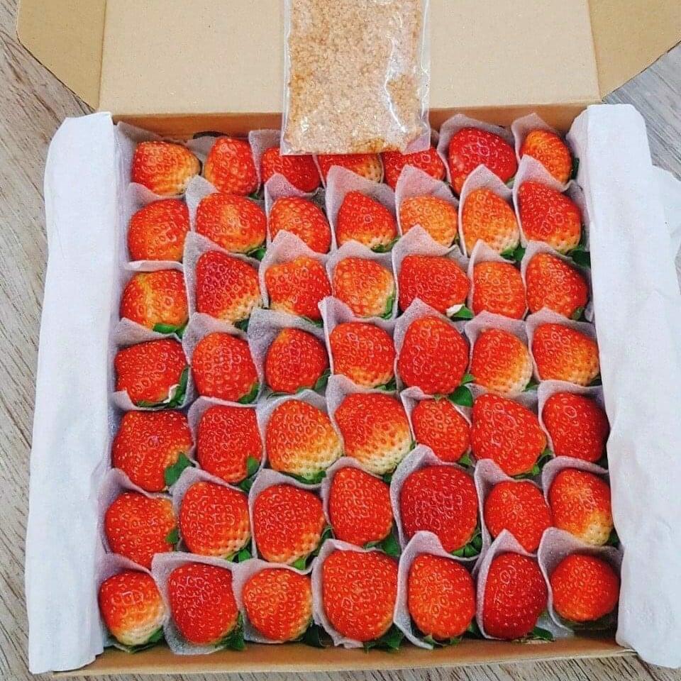 49cd7086327d409a99705d16189591b0