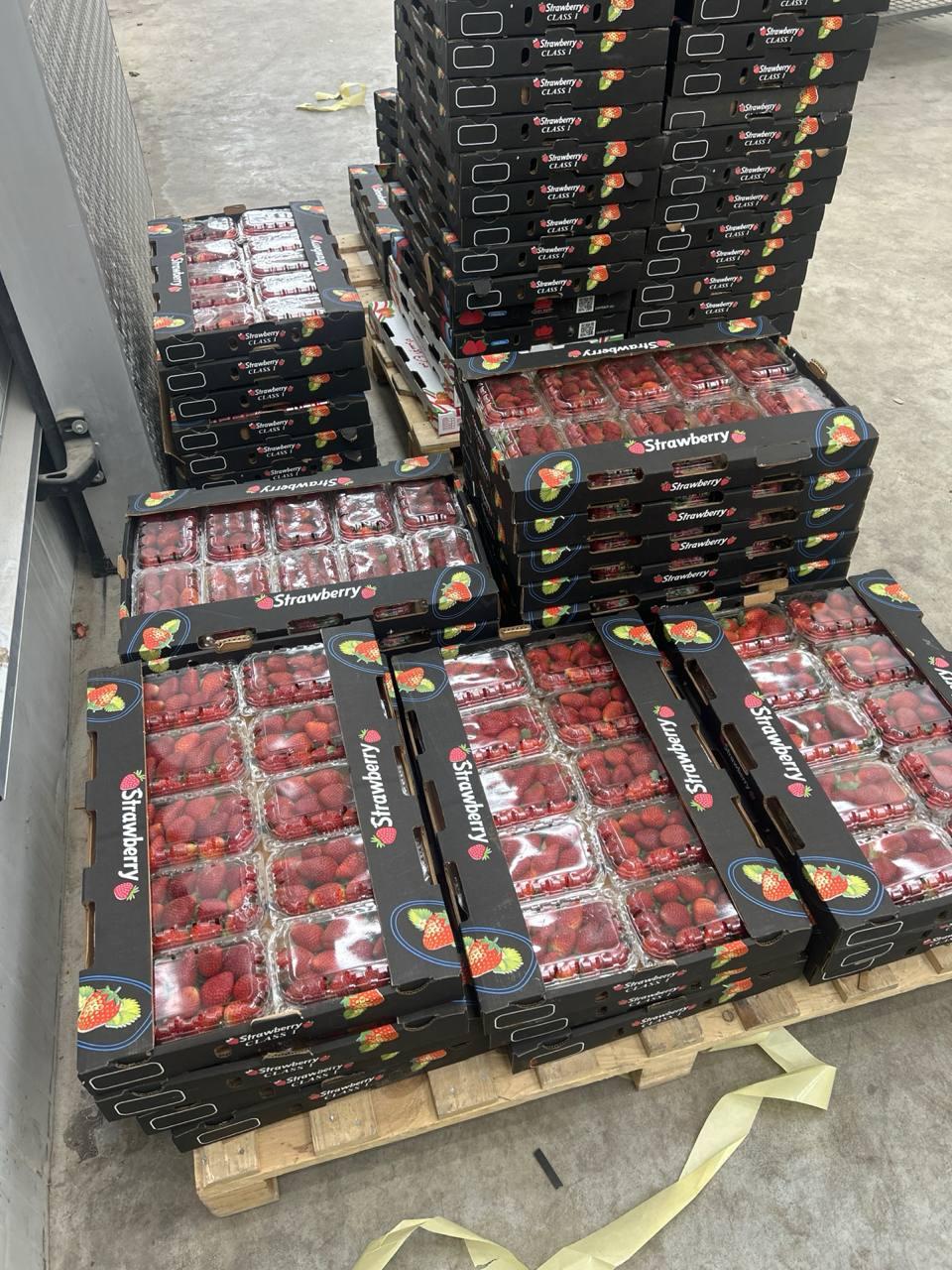 Frozen Strawberry Production