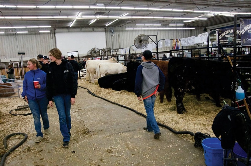 Why Manitoba AG EX Matters for B2B - 1