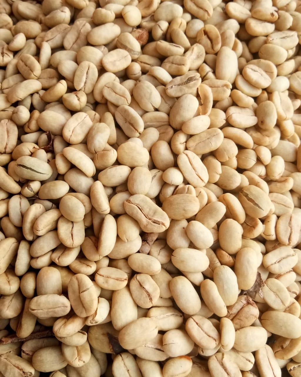 Premium Coffee Beans Close-up